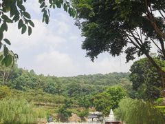 -南国桃园旅游度假区