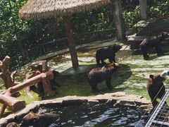 -深圳野生动物园