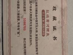 -阿五黄河大鲤鱼(英协路店)