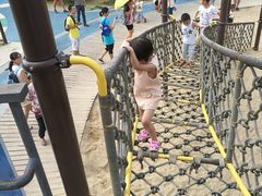 -美的鹭湖森林度假区