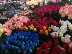 -越秀西湖花市(广州城市广场花卉店)