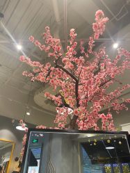 -时尚殿堂明星门店