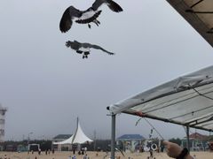 -海驴岛(荣成市)
