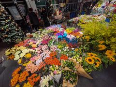 -双季花艺园艺市场(浦东店)