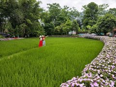 -明仕田园