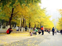 -辽宁大学(崇山校区)