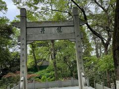 -龙井村