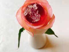 燕窝玫瑰之恋-虹御轩·传承江浙菜(虹桥店)