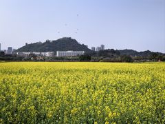 -光明小镇欢乐田园
