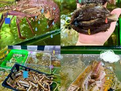 -岛中岛·海鲜大排档·万宁老字号(东澳店)