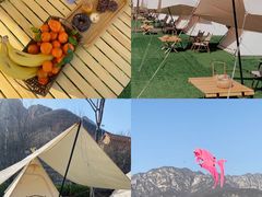 -禅宗少林·音乐大典