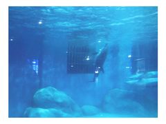 -福州罗源湾海洋世界旅游区