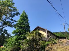 -山王坪喀斯特国家生态公园