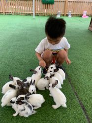 -萌宠亲子动物乐园(槐房万达店)