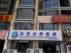-瑞派·关忠动物医院·猫专科·犬专科(三环新城店)