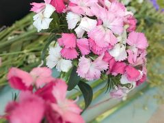 -森野花艺培训·企业团建活动沙龙