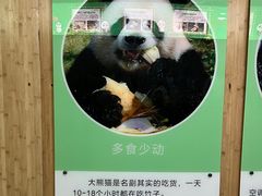 -深圳野生动物园