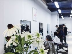 -ASA HAIR SALON