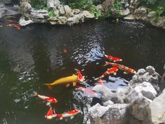 -鲤院·新中式美学·庭院餐厅(夫子庙店)