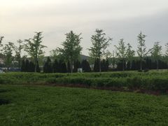 -汇泉广场
