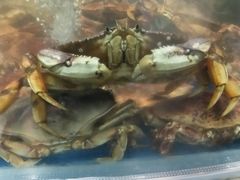 -盒马鲜生(悦峰店)