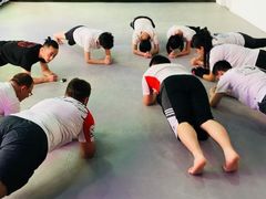 -IKMF马伽术KRAV MAGA以色列防身术