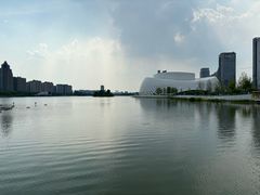 -金沙湖公园