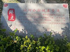 -滨河世纪广场公园