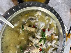 -陈生记黑鱼馆·20年活鱼现杀(宁波鼓楼店)