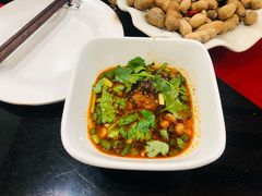 油碟-烧哥美蛙肥肠鱼火锅·十五年社区店