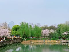 -玉山公园