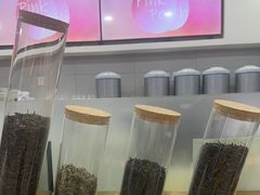 -雾与山茶(大禹城店)