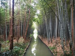 -同里国家湿地公园