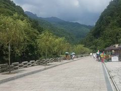 -牛背梁国家森林公园