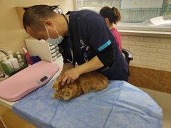 -美联众合动物医院·24h京西诊疗中心