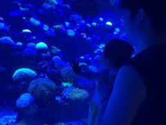 -太平洋海底世界