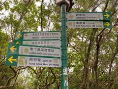 -南丫岛
