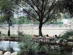 -成都市活水公园