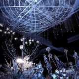 金光闪闪的星河婚礼,不一样的星系风格