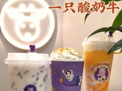 -一只酸奶牛(八一路店)
