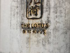 -几荷·恰似故人来(秀水广场店)