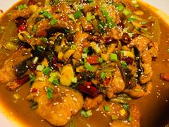 -胡桃里音乐酒馆(石家庄店)