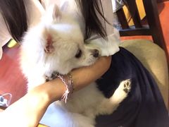 -零几体验diy皮具工作室(振业城店)