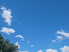 -磬锤峰森林公园