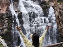 -海南热带雨林国家公园吊罗山景区