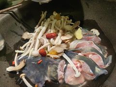 -鲜潭蒸汽石锅鱼(五道口购物中心店)