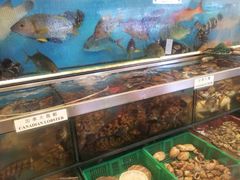 iphone_upload_pic-南丫岛