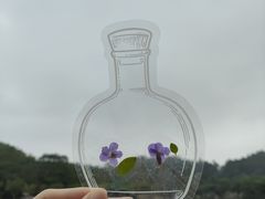 -番禺大夫山森林公园