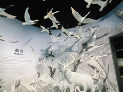-中国湿地博物馆