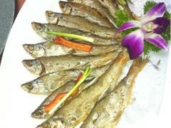 漳河小白刁-九尊食上(生态园林酒店)